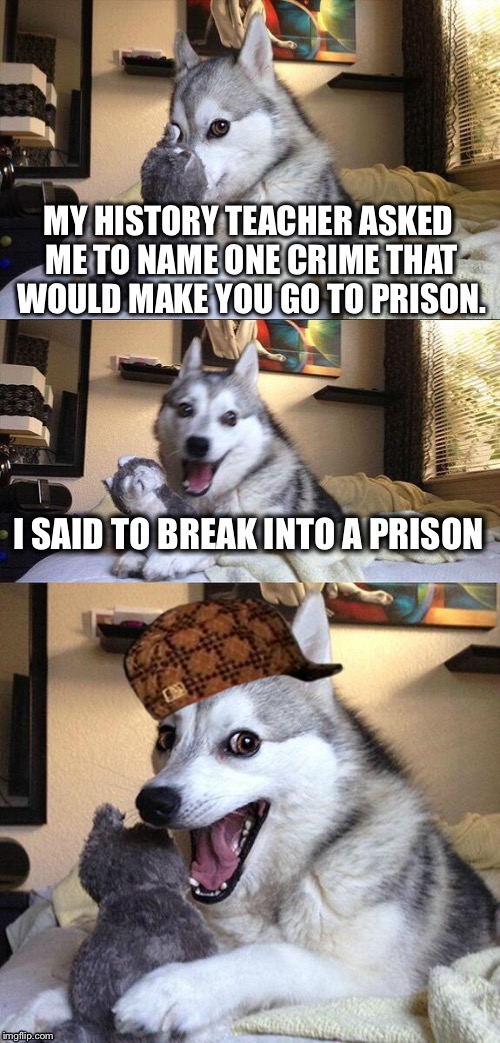 Bad Pun Dog | MY HISTORY TEACHER ASKED ME TO NAME ONE CRIME THAT WOULD MAKE YOU GO TO PRISON. I SAID TO BREAK INTO A PRISON | image tagged in memes,bad pun dog,scumbag | made w/ Imgflip meme maker