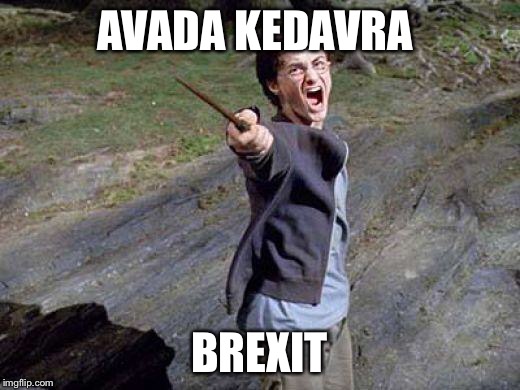 Harry Potter Yelling | AVADA KEDAVRA; BREXIT | image tagged in harry potter yelling | made w/ Imgflip meme maker