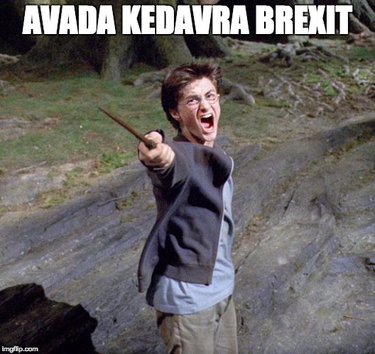 Harry potter | AVADA KEDAVRA
BREXIT | image tagged in harry potter | made w/ Imgflip meme maker