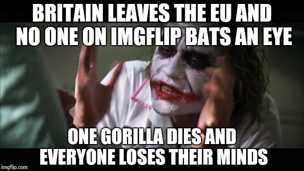 And everybody loses their minds Meme | BRITAIN LEAVES THE EU AND NO ONE ON IMGFLIP BATS AN EYE; ONE GORILLA DIES AND EVERYONE LOSES THEIR MINDS | image tagged in memes,and everybody loses their minds | made w/ Imgflip meme maker
