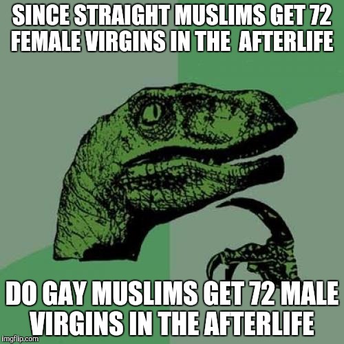 Philosoraptor Meme |  SINCE STRAIGHT MUSLIMS GET 72 FEMALE VIRGINS IN THE  AFTERLIFE; DO GAY MUSLIMS GET 72 MALE VIRGINS IN THE AFTERLIFE | image tagged in memes,philosoraptor | made w/ Imgflip meme maker