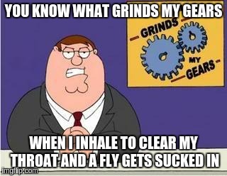You know what grinds my gears | YOU KNOW WHAT GRINDS MY GEARS; WHEN I INHALE TO CLEAR MY THROAT AND A FLY GETS SUCKED IN | image tagged in you know what grinds my gears | made w/ Imgflip meme maker
