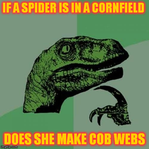 Philosoraptor | IF A SPIDER IS IN A CORNFIELD; DOES SHE MAKE COB WEBS | image tagged in memes,philosoraptor | made w/ Imgflip meme maker