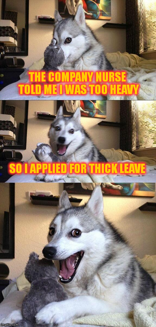 Bad Pun Dog | THE COMPANY NURSE TOLD ME I WAS TOO HEAVY; SO I APPLIED FOR THICK LEAVE | image tagged in memes,bad pun dog | made w/ Imgflip meme maker