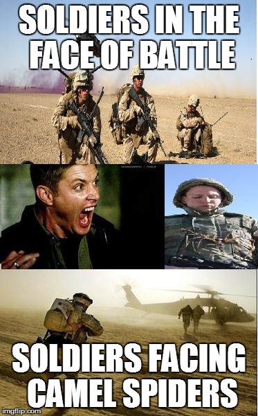 SOLDIERS IN THE FACE OF BATTLE; SOLDIERS FACING CAMEL SPIDERS | image tagged in soldiers | made w/ Imgflip meme maker