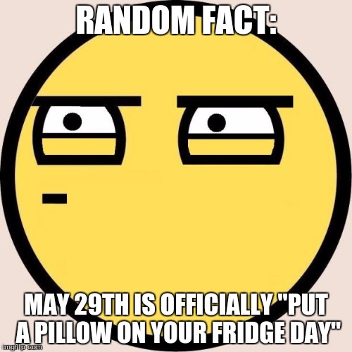 Random, Useless Fact of the Day | RANDOM FACT:; MAY 29TH IS OFFICIALLY "PUT A PILLOW ON YOUR FRIDGE DAY" | image tagged in memes,random useless fact of the day | made w/ Imgflip meme maker