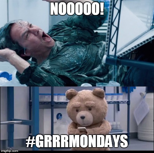 NOOOOO! #GRRRMONDAYS | image tagged in ted | made w/ Imgflip meme maker
