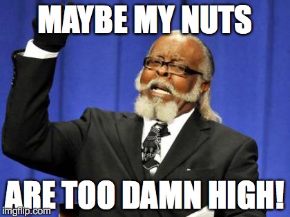 MAYBE MY NUTS ARE TOO DAMN HIGH! | made w/ Imgflip meme maker