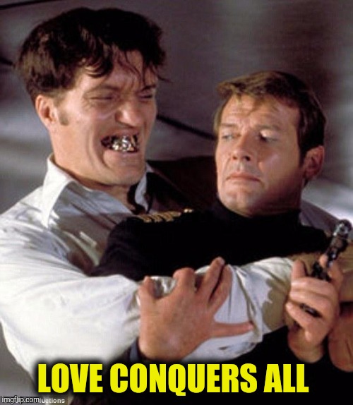 Love knows no boundaries  | LOVE CONQUERS ALL | image tagged in true love,love story | made w/ Imgflip meme maker