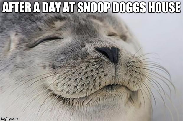 Satisfied Seal | AFTER A DAY AT SNOOP DOGGS HOUSE | image tagged in memes,satisfied seal | made w/ Imgflip meme maker