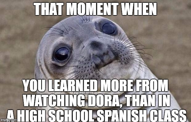 You know I'm right | THAT MOMENT WHEN; YOU LEARNED MORE FROM WATCHING DORA, THAN IN A HIGH SCHOOL SPANISH CLASS | image tagged in memes,awkward moment sealion | made w/ Imgflip meme maker