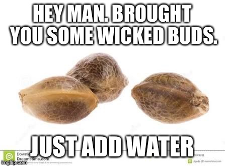 HEY MAN. BROUGHT YOU SOME WICKED BUDS. JUST ADD WATER | image tagged in just add water | made w/ Imgflip meme maker