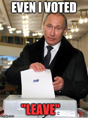 Putin Elects You | EVEN I VOTED; "LEAVE" | image tagged in putin elects you | made w/ Imgflip meme maker