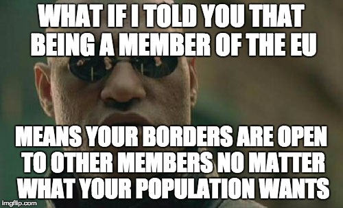 Matrix Morpheus Meme | WHAT IF I TOLD YOU THAT BEING A MEMBER OF THE EU MEANS YOUR BORDERS ARE OPEN TO OTHER MEMBERS NO MATTER WHAT YOUR POPULATION WANTS | image tagged in memes,matrix morpheus | made w/ Imgflip meme maker