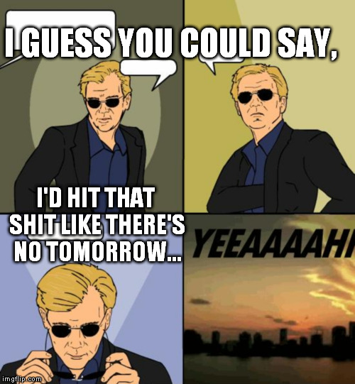 Horatio CSI Miami | I GUESS YOU COULD SAY, I'D HIT THAT SHIT LIKE THERE'S NO TOMORROW... | image tagged in horatio csi miami | made w/ Imgflip meme maker