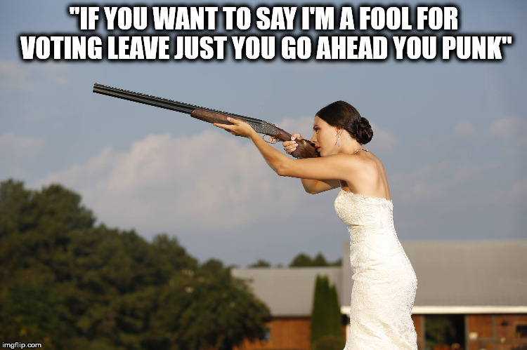 shotgun bride | "IF YOU WANT TO SAY I'M A FOOL FOR VOTING LEAVE JUST YOU GO AHEAD YOU PUNK" | image tagged in shotgun bride | made w/ Imgflip meme maker