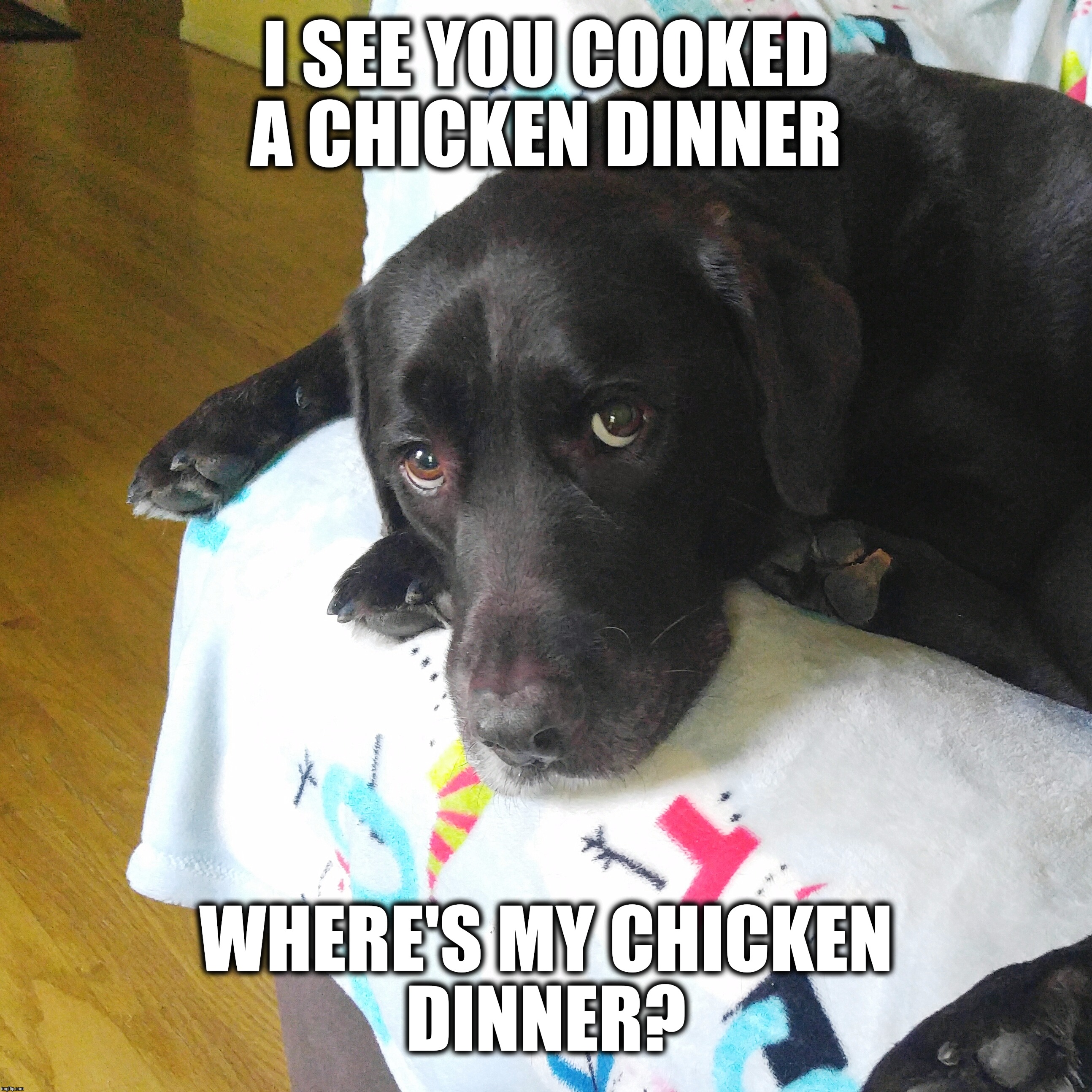 Chicken dinner  | I SEE YOU COOKED A CHICKEN DINNER; WHERE'S MY CHICKEN DINNER? | image tagged in chuckie the chocolate lab,dinner,hungry,labrador,dog,funny memes | made w/ Imgflip meme maker