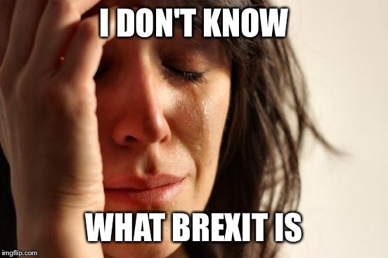 First World Problems | I DON'T KNOW; WHAT BREXIT IS | image tagged in memes,first world problems | made w/ Imgflip meme maker