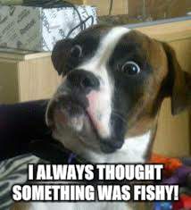 I ALWAYS THOUGHT SOMETHING WAS FISHY! | made w/ Imgflip meme maker