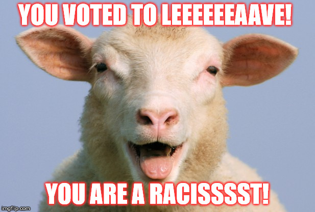 Brexit | YOU VOTED TO LEEEEEEAAVE! YOU ARE A RACISSSST! | image tagged in breaking news | made w/ Imgflip meme maker