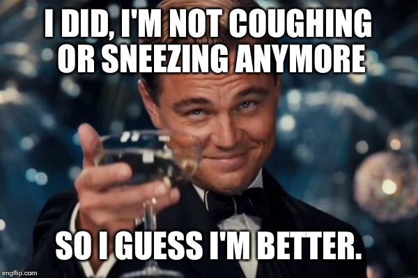Leonardo Dicaprio Cheers Meme | I DID, I'M NOT COUGHING OR SNEEZING ANYMORE SO I GUESS I'M BETTER. | image tagged in memes,leonardo dicaprio cheers | made w/ Imgflip meme maker