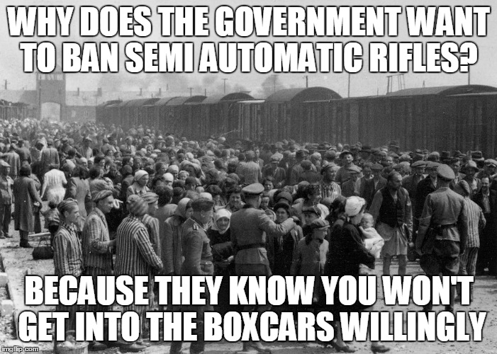 gun controls | WHY DOES THE GOVERNMENT WANT TO BAN SEMI AUTOMATIC RIFLES? BECAUSE THEY KNOW YOU WON'T GET INTO THE BOXCARS WILLINGLY | image tagged in gun control | made w/ Imgflip meme maker