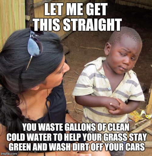 3rd World Sceptical Child | LET ME GET THIS STRAIGHT; YOU WASTE GALLONS OF CLEAN COLD WATER TO HELP YOUR GRASS STAY GREEN AND WASH DIRT OFF YOUR CARS | image tagged in 3rd world sceptical child | made w/ Imgflip meme maker