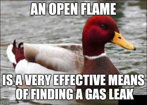 It only works once, though | AN OPEN FLAME; IS A VERY EFFECTIVE MEANS OF FINDING A GAS LEAK | image tagged in memes,malicious advice mallard | made w/ Imgflip meme maker
