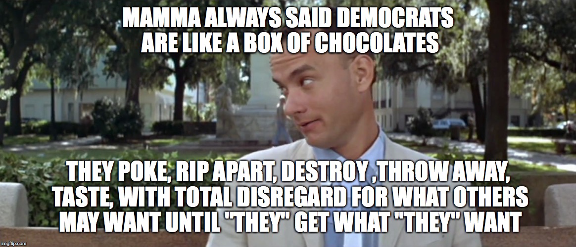 Forest Gump | MAMMA ALWAYS SAID DEMOCRATS ARE LIKE A BOX OF CHOCOLATES; THEY POKE, RIP APART, DESTROY ,THROW AWAY, TASTE, WITH TOTAL DISREGARD FOR WHAT OTHERS MAY WANT UNTIL "THEY" GET WHAT "THEY" WANT | image tagged in forest gump | made w/ Imgflip meme maker