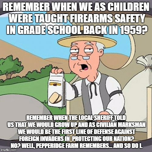 Pepperidge Farm Remembers Meme | REMEMBER WHEN WE AS CHILDREN WERE TAUGHT FIREARMS SAFETY IN GRADE SCHOOL BACK IN 1959? REMEMBER WHEN THE LOCAL SHERIFF TOLD US THAT WE WOULD GROW UP AND AS CIVILIAN MARKSMAN WE WOULD BE THE FIRST LINE OF DEFENSE AGAINST FOREIGN INVADERS IN  PROTECTING OUR NATION? NO? WELL, PEPPERIDGE FARM REMEMBERS... AND SO DO I. | image tagged in memes,pepperidge farm remembers | made w/ Imgflip meme maker