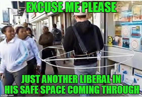 EXCUSE ME PLEASE; JUST ANOTHER LIBERAL IN HIS SAFE SPACE COMING THROUGH | image tagged in safe space | made w/ Imgflip meme maker