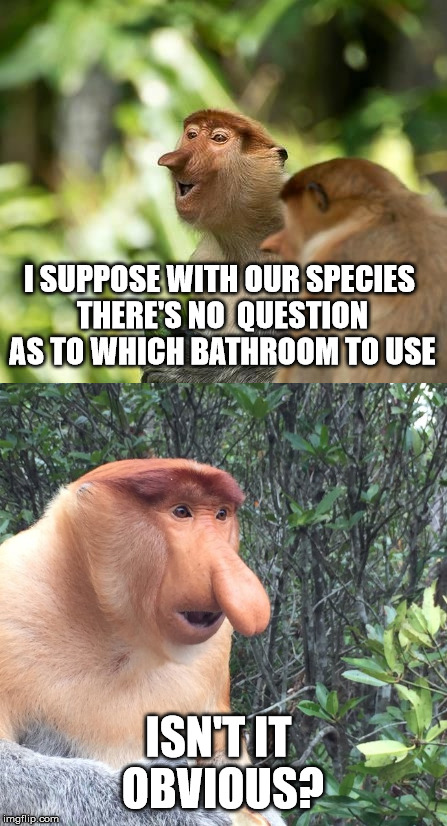 When It Comes to the Human Species, Things Are A Bit More Complicated | I SUPPOSE WITH OUR SPECIES THERE'S NO  QUESTION AS TO WHICH BATHROOM TO USE; ISN'T IT OBVIOUS? | image tagged in funny | made w/ Imgflip meme maker