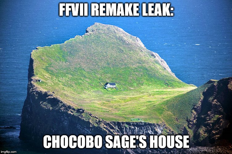 FFVII REMAKE LEAK:; CHOCOBO SAGE'S HOUSE | image tagged in chocobo sage | made w/ Imgflip meme maker