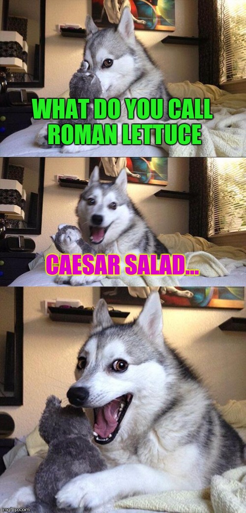 Bad Pun Dog Meme | WHAT DO YOU CALL ROMAN LETTUCE; CAESAR SALAD... | image tagged in memes,bad pun dog | made w/ Imgflip meme maker