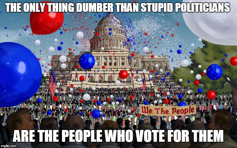 THE ONLY THING DUMBER THAN STUPID POLITICIANS; ARE THE PEOPLE WHO VOTE FOR THEM | image tagged in we the morons | made w/ Imgflip meme maker