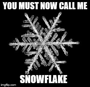 YOU MUST NOW CALL ME SNOWFLAKE | made w/ Imgflip meme maker