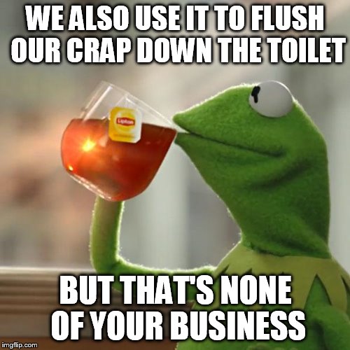 But That's None Of My Business Meme | WE ALSO USE IT TO FLUSH OUR CRAP DOWN THE TOILET BUT THAT'S NONE OF YOUR BUSINESS | image tagged in memes,but thats none of my business,kermit the frog | made w/ Imgflip meme maker