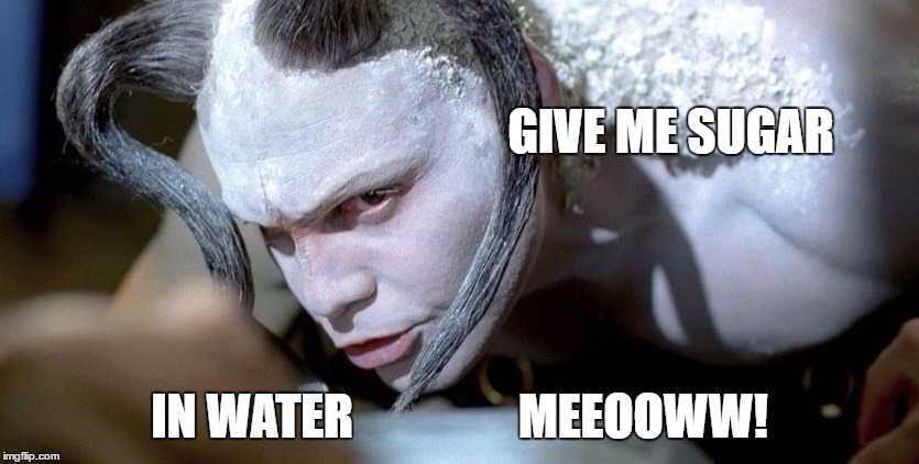 GIVE ME SUGAR IN WATER                 MEEOOWW! | made w/ Imgflip meme maker