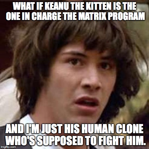 Watching "Keanu" (the cat movie) made me think. | WHAT IF KEANU THE KITTEN IS THE ONE IN CHARGE THE MATRIX PROGRAM; AND I'M JUST HIS HUMAN CLONE WHO'S SUPPOSED TO FIGHT HIM. | image tagged in memes,conspiracy keanu,kitten,keanu,keanu reeves | made w/ Imgflip meme maker