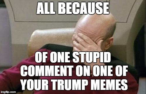 Captain Picard Facepalm Meme | ALL BECAUSE OF ONE STUPID COMMENT ON ONE OF YOUR TRUMP MEMES | image tagged in memes,captain picard facepalm | made w/ Imgflip meme maker