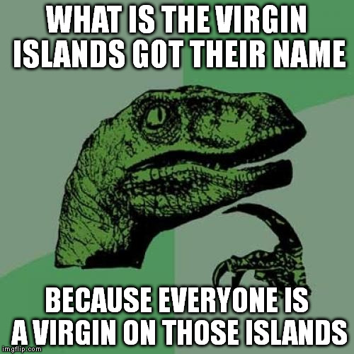 Philosoraptor | WHAT IS THE VIRGIN ISLANDS GOT THEIR NAME; BECAUSE EVERYONE IS A VIRGIN ON THOSE ISLANDS | image tagged in memes,philosoraptor | made w/ Imgflip meme maker