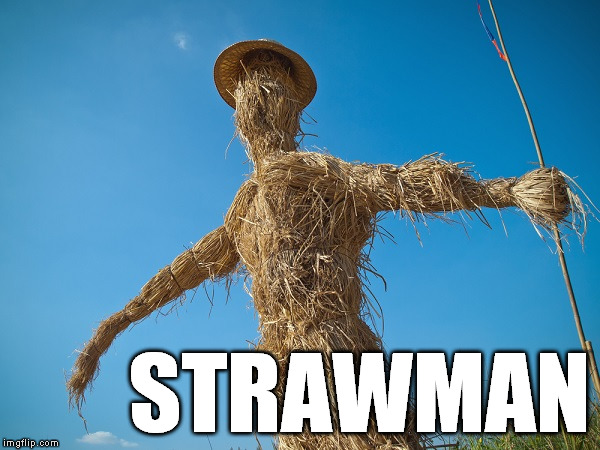 STRAWMAN | image tagged in strawman | made w/ Imgflip meme maker