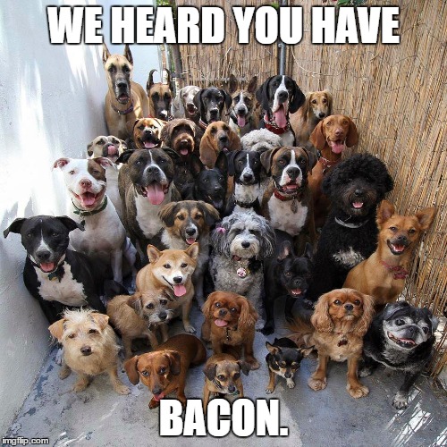 Bacon, bacon,bacon. | WE HEARD YOU HAVE; BACON. | image tagged in bacon,bacon meme,this is bacon,reservoir dogs | made w/ Imgflip meme maker