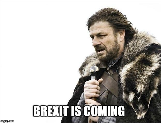 Brace Yourselves X is Coming | BREXIT IS COMING | image tagged in memes,brace yourselves x is coming | made w/ Imgflip meme maker