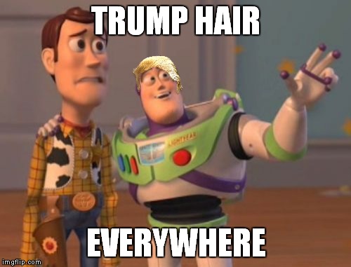 X, X Everywhere Meme | TRUMP HAIR EVERYWHERE | image tagged in memes,x x everywhere | made w/ Imgflip meme maker