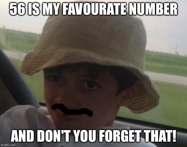 56 IS MY FAVOURATE NUMBER; AND DON'T YOU FORGET THAT! | image tagged in 56 | made w/ Imgflip meme maker