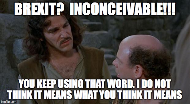 Princess Bride | BREXIT?  INCONCEIVABLE!!! YOU KEEP USING THAT WORD. I DO NOT THINK IT MEANS WHAT YOU THINK IT MEANS | image tagged in princess bride | made w/ Imgflip meme maker