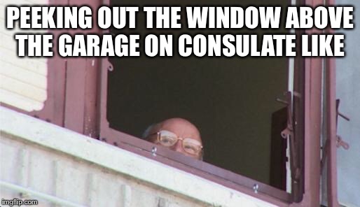 hide |  PEEKING OUT THE WINDOW ABOVE THE GARAGE ON CONSULATE LIKE | image tagged in hide | made w/ Imgflip meme maker