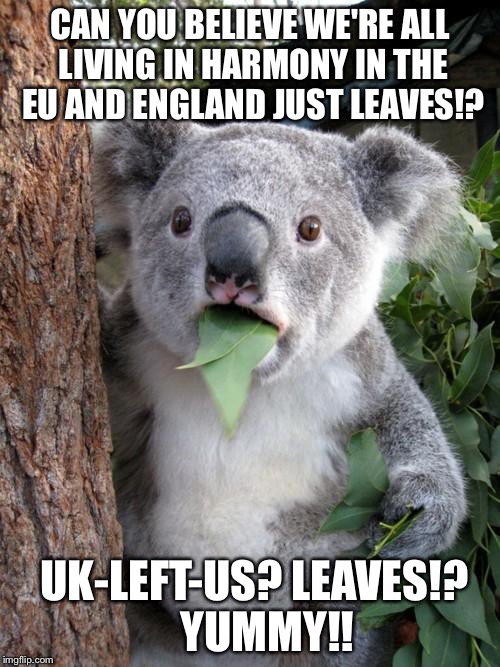 Brexit Koala  | CAN YOU BELIEVE WE'RE ALL LIVING IN HARMONY IN THE EU AND ENGLAND JUST LEAVES!? UK-LEFT-US? LEAVES!?   
YUMMY!! | image tagged in memes,surprised koala,brexit,european union,united kingdom | made w/ Imgflip meme maker