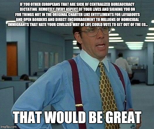 That Would Be Great | IF YOU OTHER EUROPEANS THAT ARE SICK OF CENTRALIZED BUREAUCRACY DICTATING  REMOTELY EVERY ASPECT OF YOUR LIVES AND SIGNING YOU ON FOR THINGS NOT IN THE ORIGINAL CHARTER LIKE ENTITLEMENTS FOR LAYABOUTS AND OPEN BORDERS AND DIRECT ENCOURAGEMENT TO MILLIONS OF HOMICIDAL  IMMIGRANTS THAT HATE YOUR CIVILIZED WAY OF LIFE COULD VOTE TO GET OUT OF THE EU... THAT WOULD BE GREAT | image tagged in memes,that would be great | made w/ Imgflip meme maker